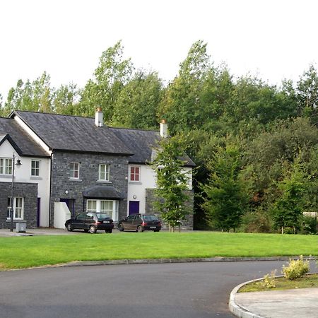 Bunratty Holiday Homes Екстериор снимка