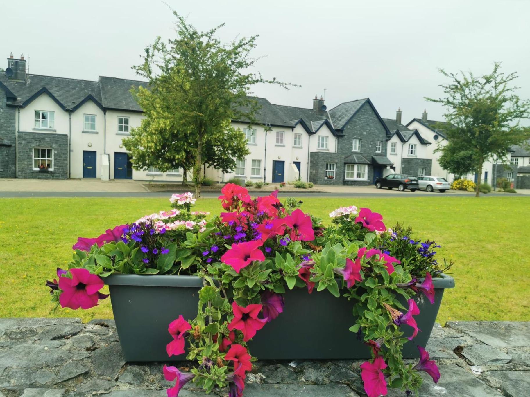 Bunratty Holiday Homes Екстериор снимка